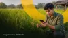 Tren Pekerjaan untuk Lulusan Agroteknologi: Smart Farming dan Pertanian Presisi